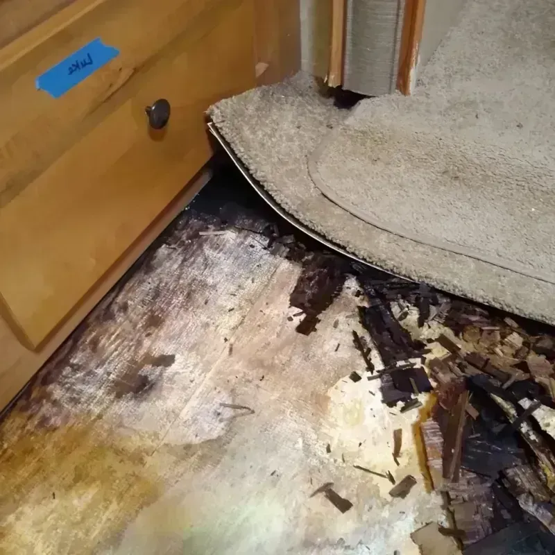 Wood Floor Water Damage in Grenada, MS